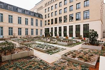 Day Pass workspace image