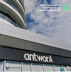 listing-antwork-beirut-airrut-quote