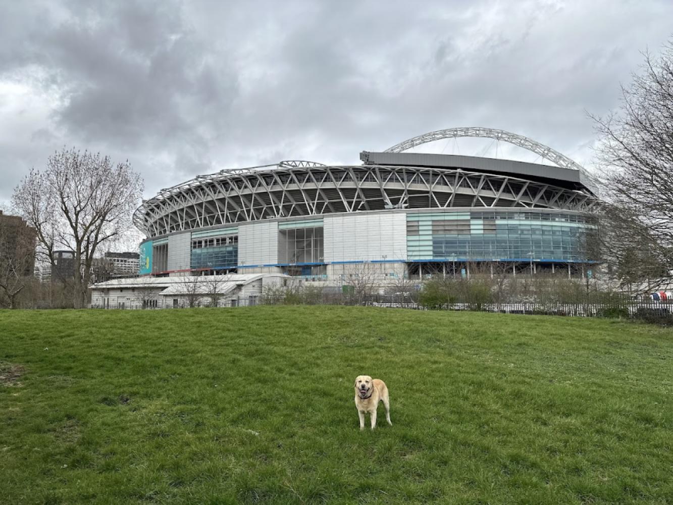 50413e21-c325-49a5-a94b-44716d40b3e1