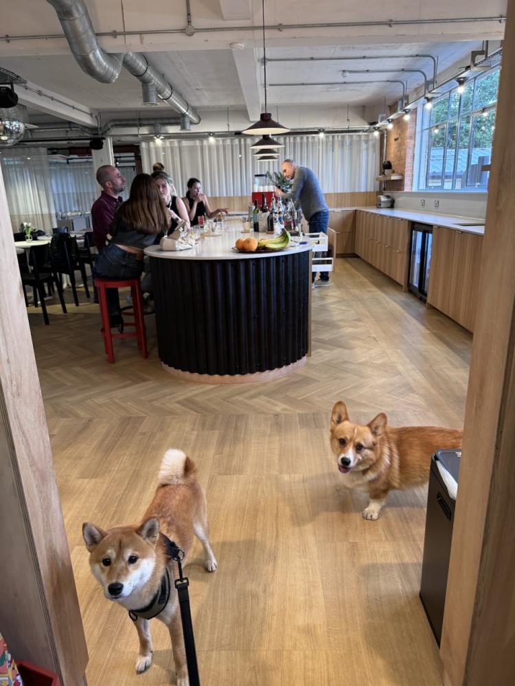 b69072b4-d491-46fc-b02d-d6f1b6c71397