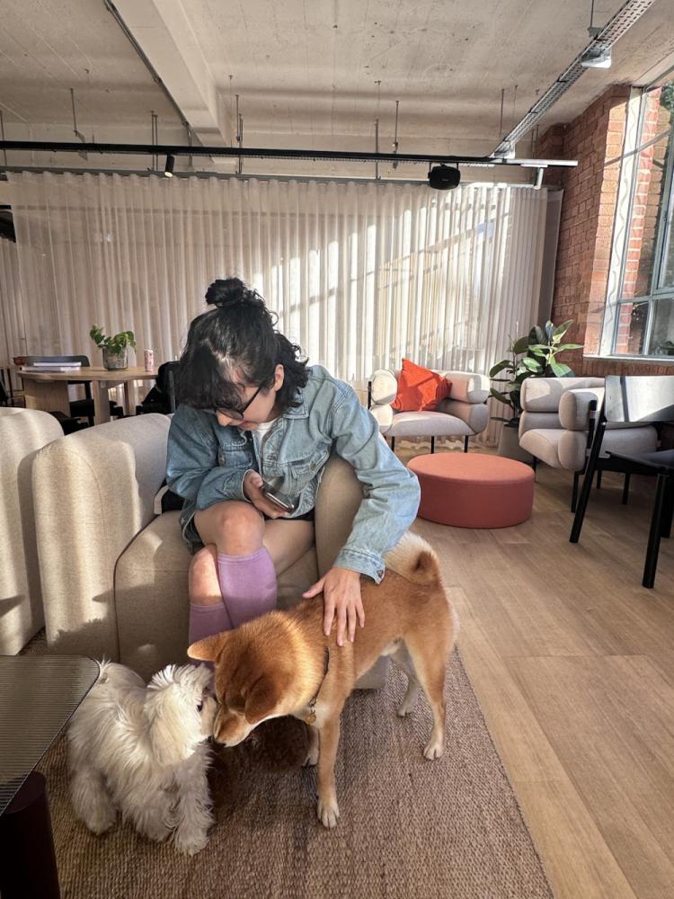 a2dd1c0d-d705-4e74-8c07-5cb1dfbbb67c