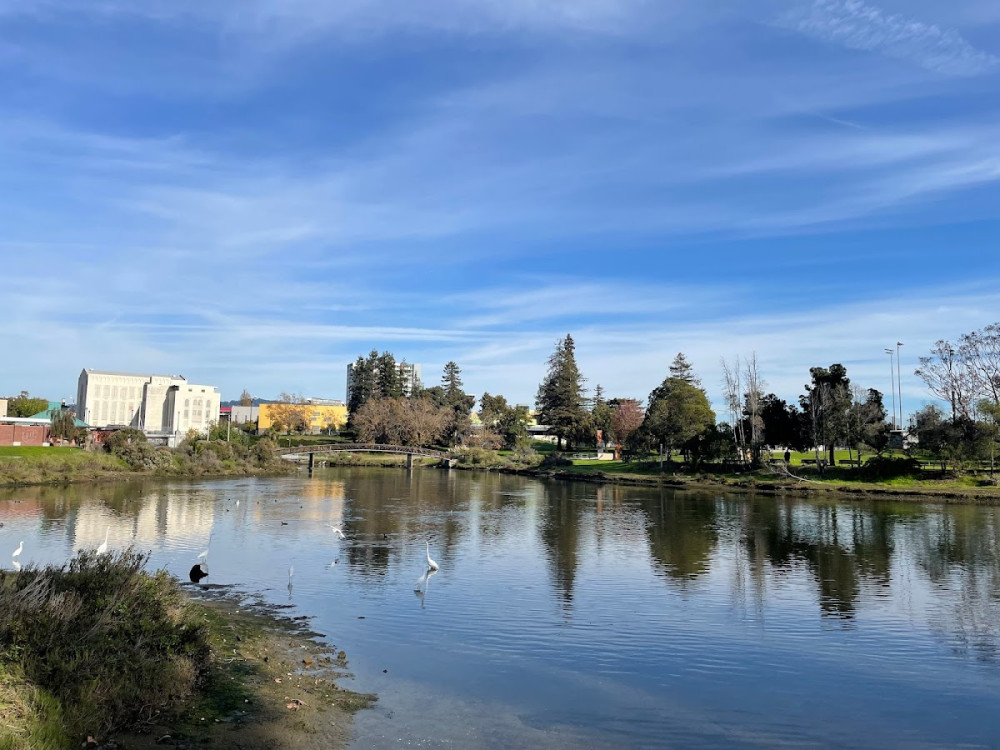 9d538b07-a59f-4872-a5bc-e196395fb02c