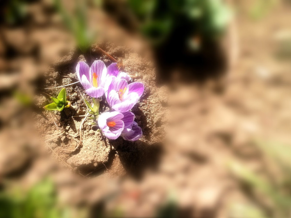 9d53a11a-fde6-4821-af89-d222c0430032