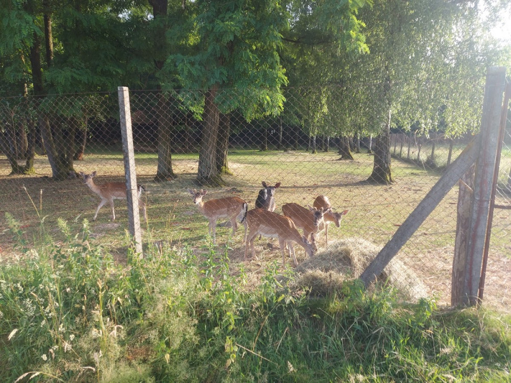 9d53a192-2a39-4b90-a4d2-1b49a9672f15