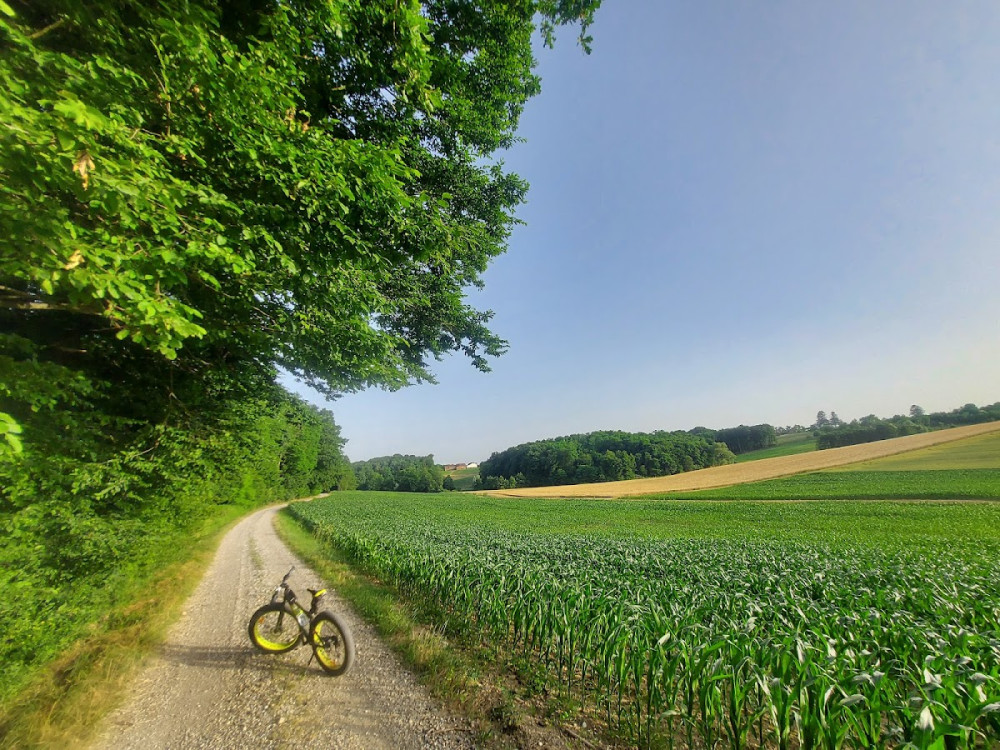 9d53a193-22e3-4ff8-8eef-714e1808a053