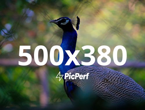 Placeholder Image Example