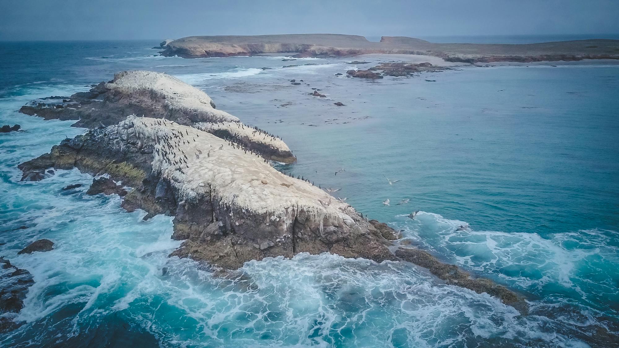 Placeholder Image Example