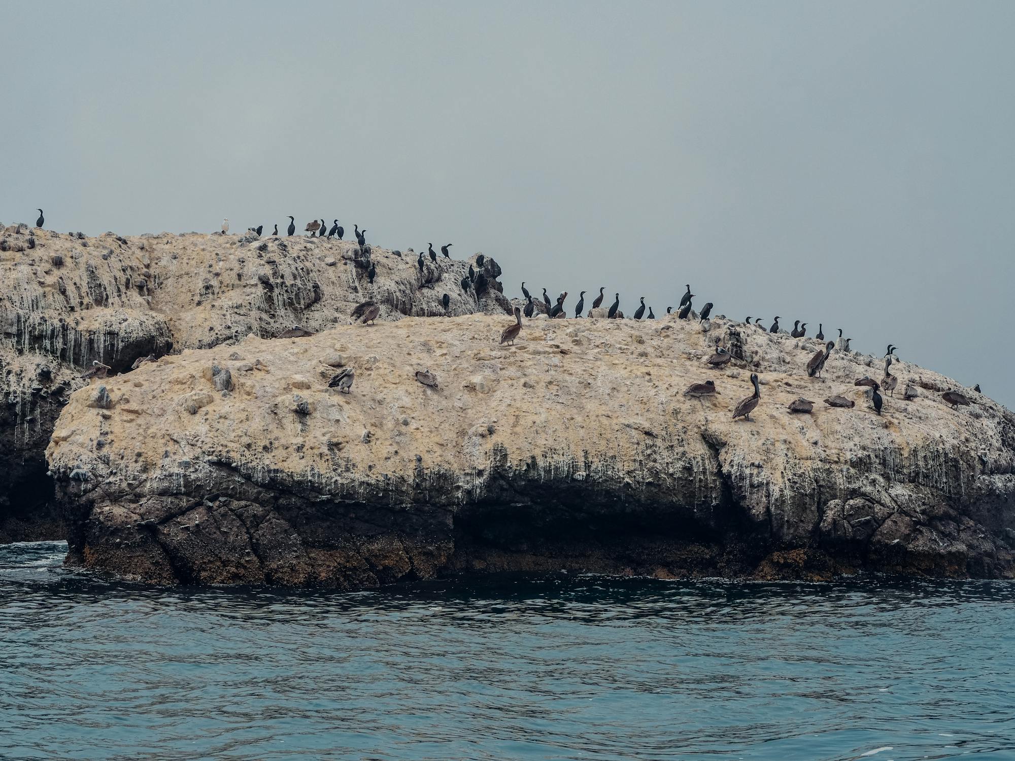 Placeholder Image Example