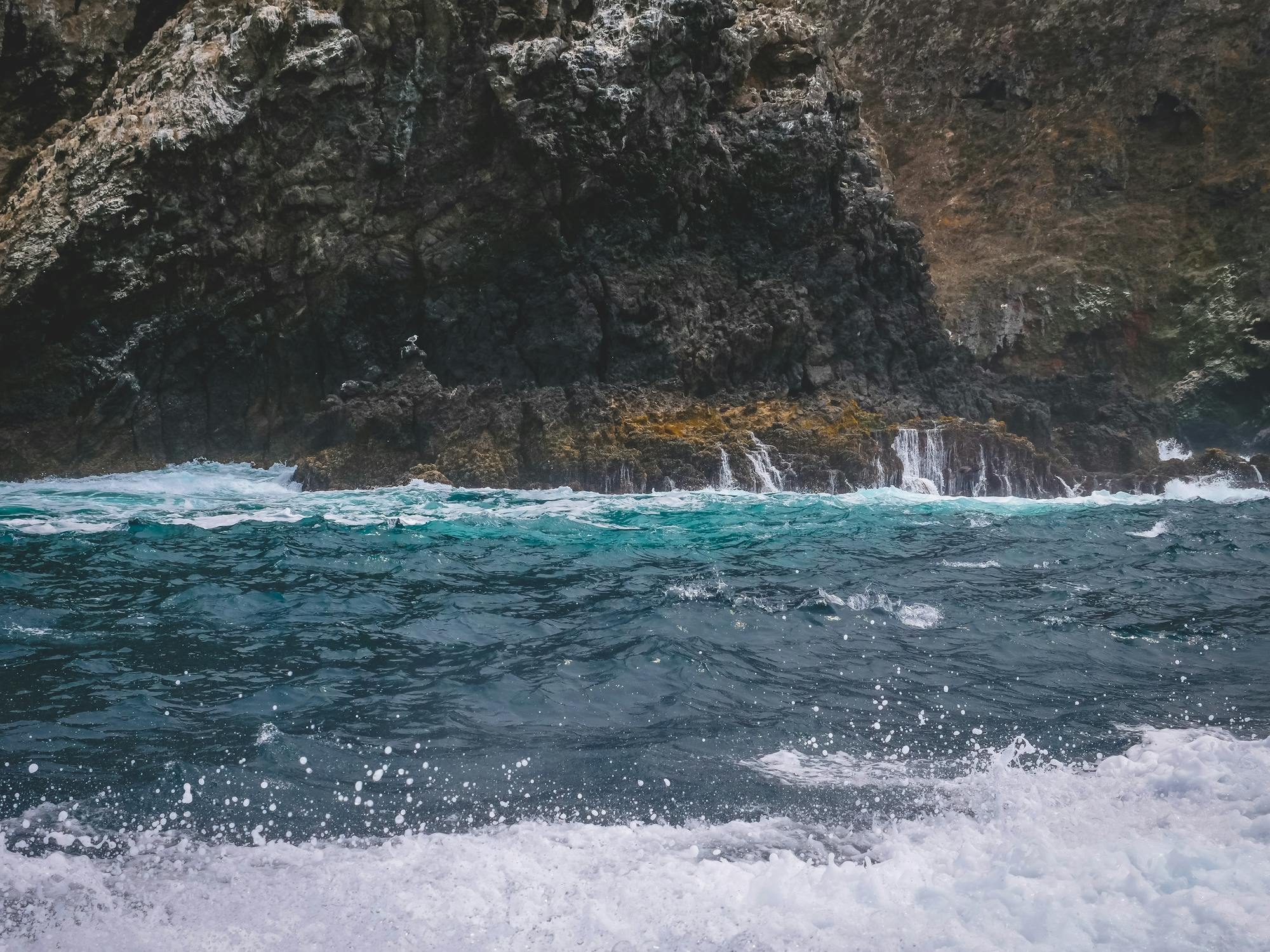 Placeholder Image Example