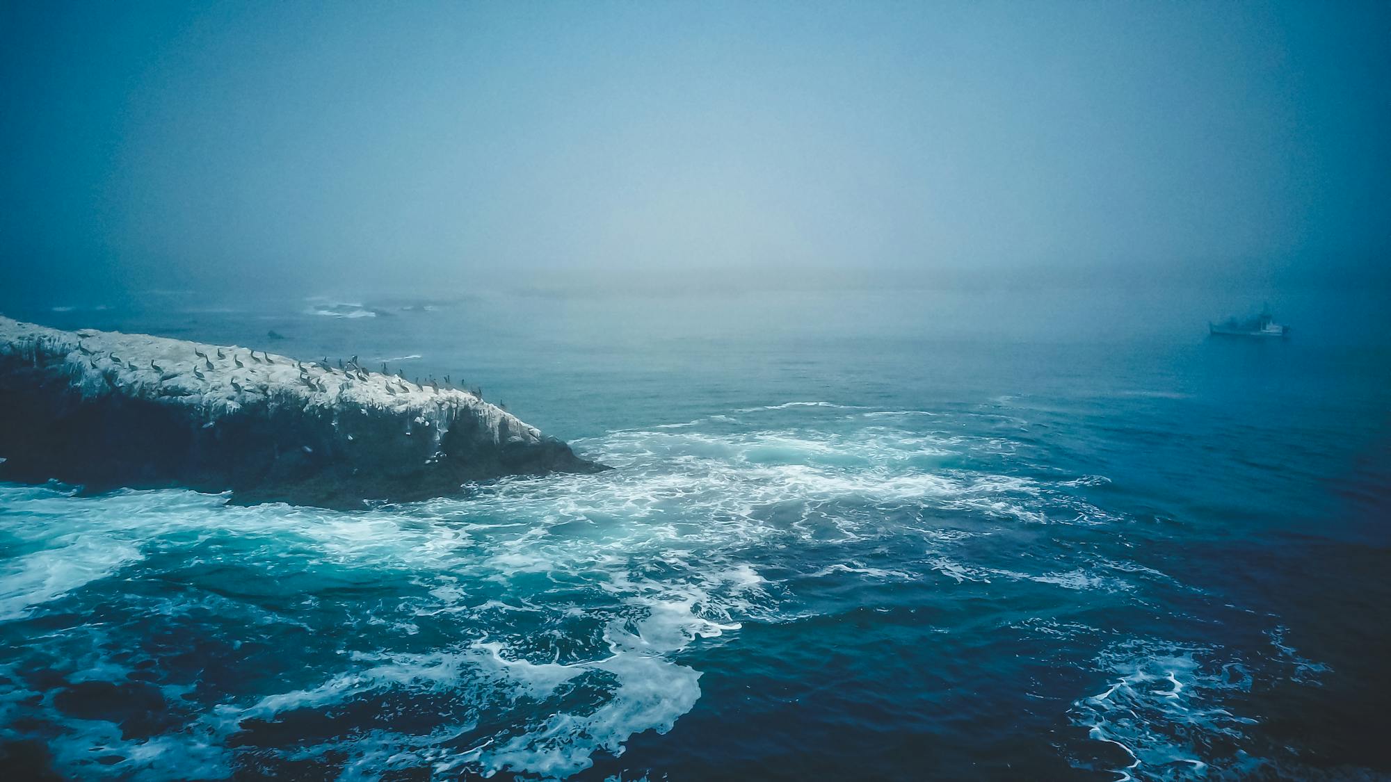 Placeholder Image Example