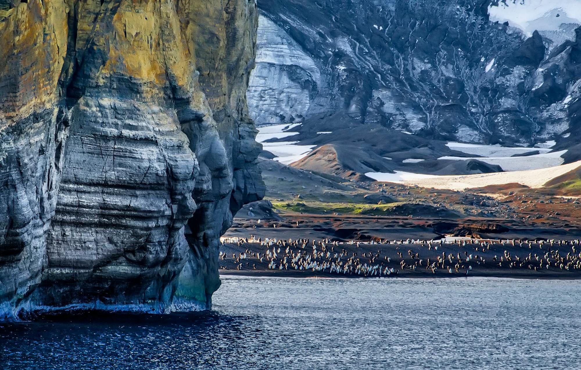 Placeholder Image Example