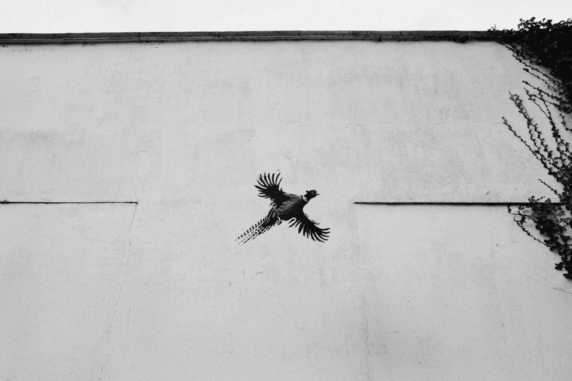 Placeholder Image Example