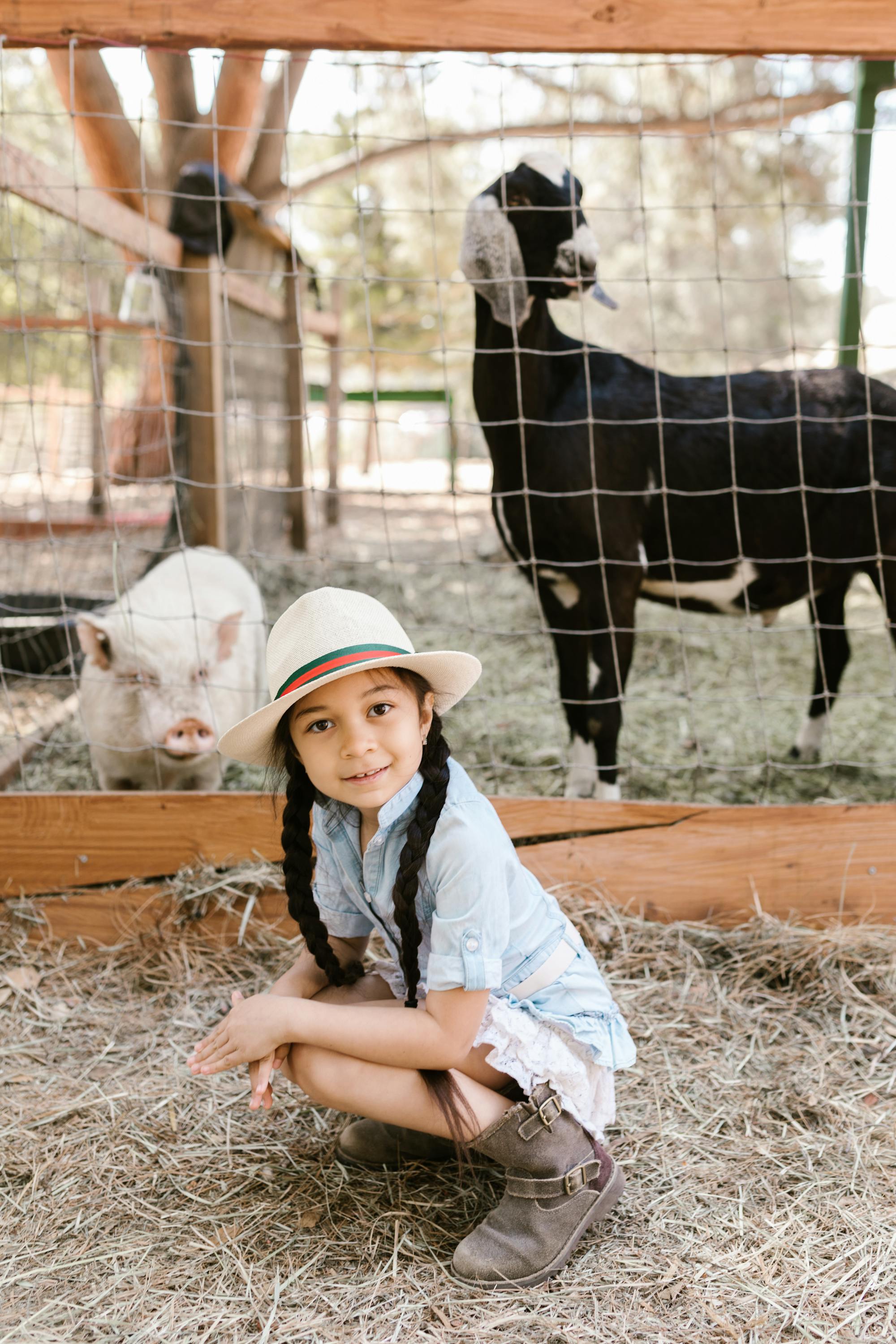 Placeholder Image Example