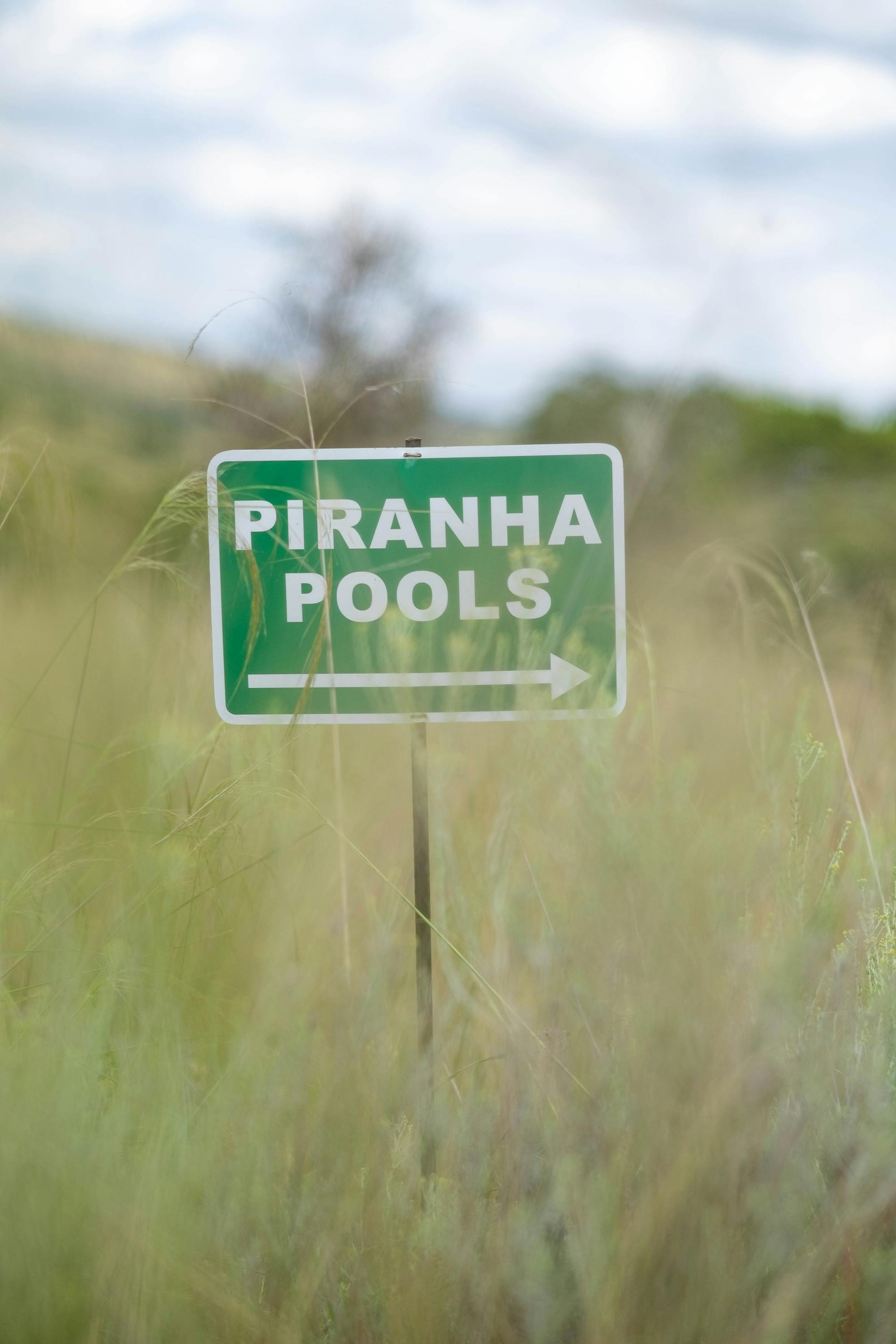 Placeholder Image Example