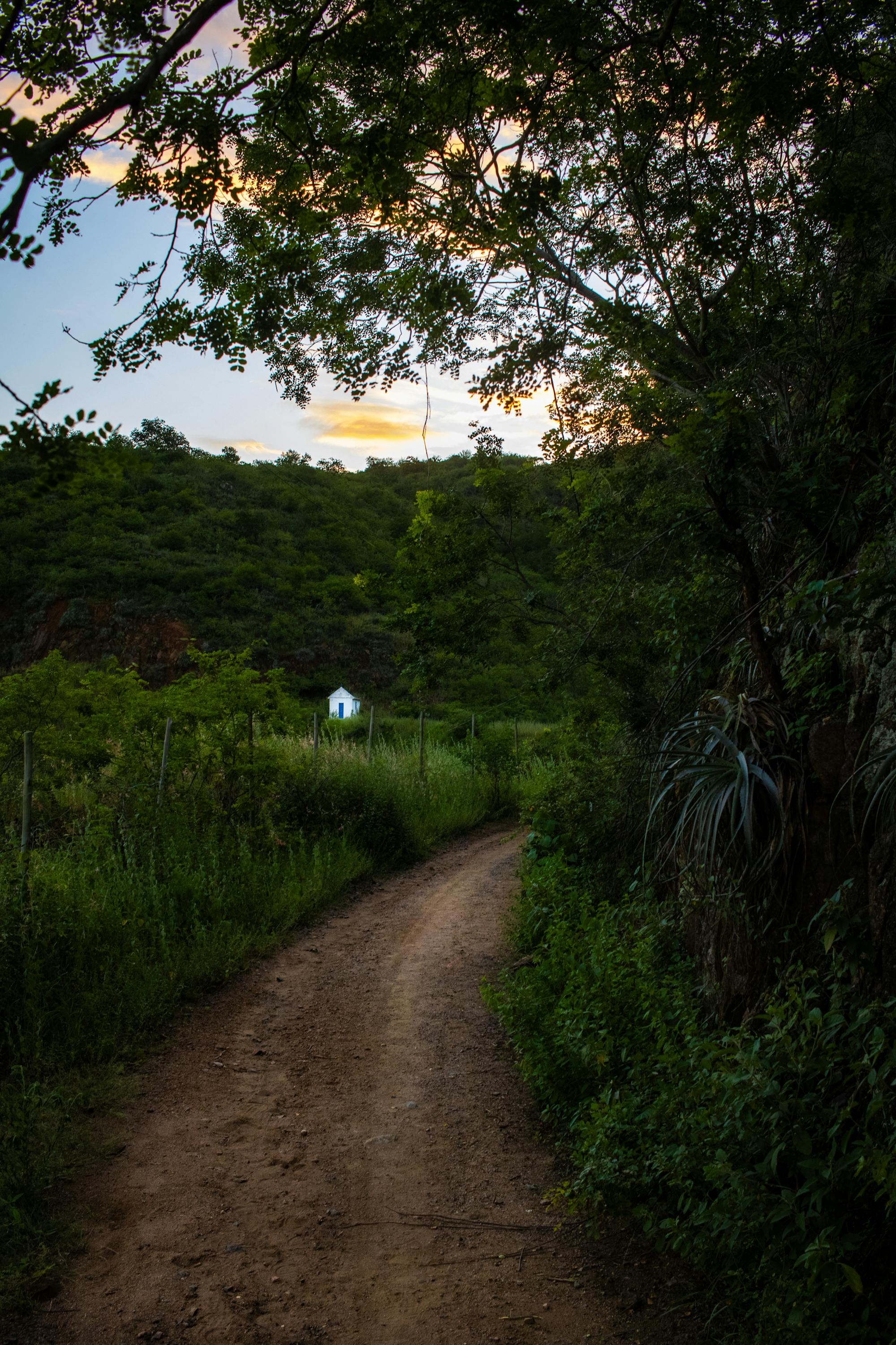 Placeholder Image Example