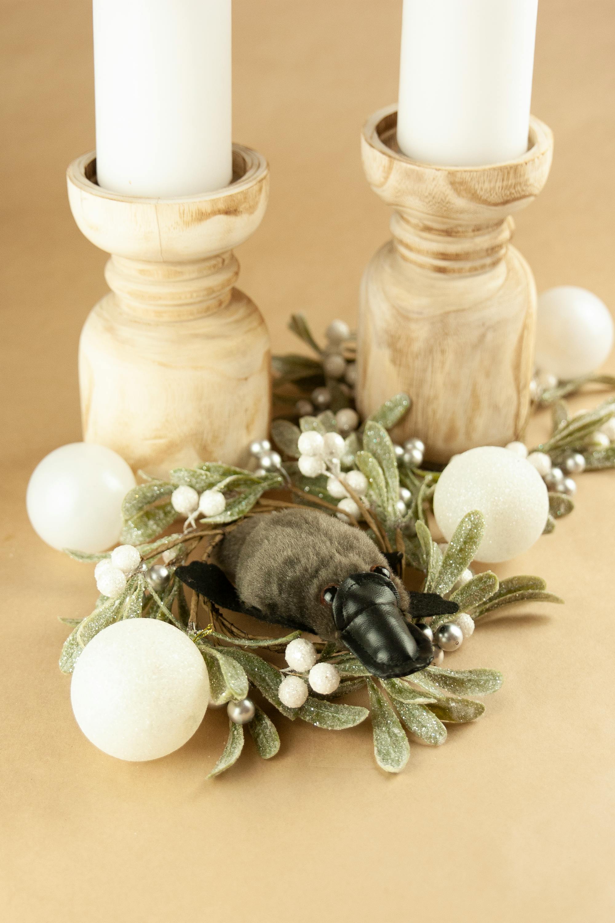 Placeholder Image Example