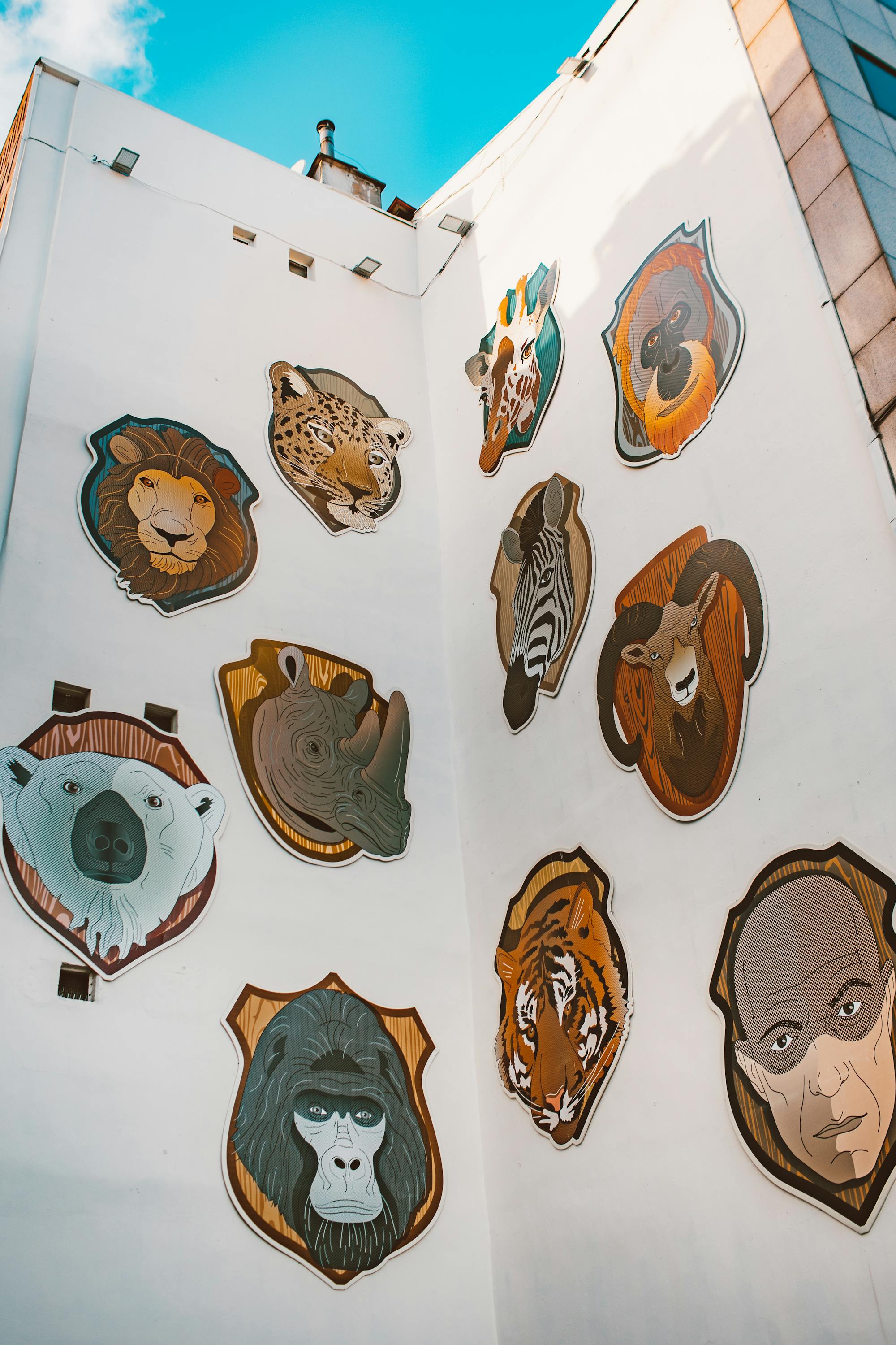 Placeholder Image Example