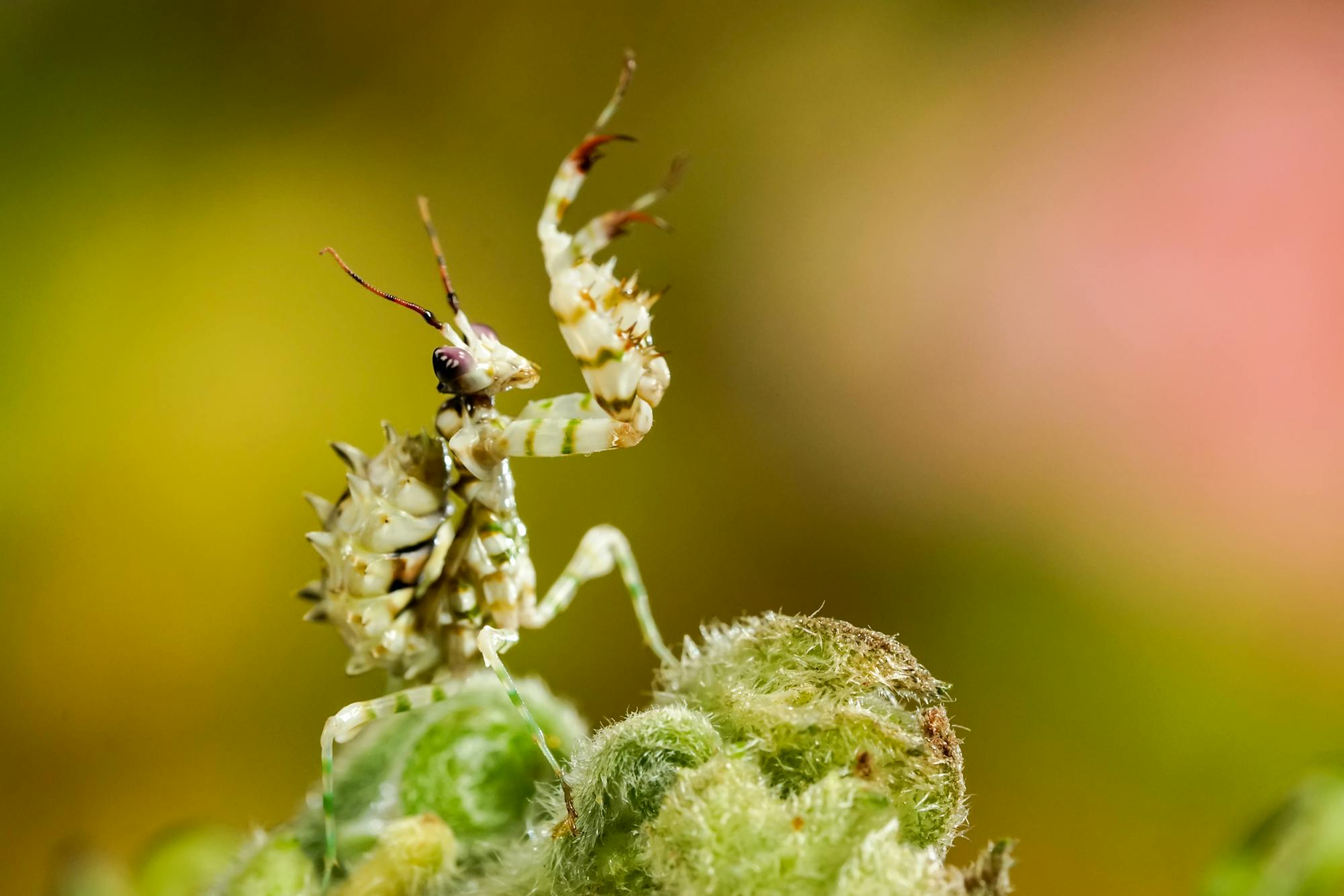 Placeholder Image Example