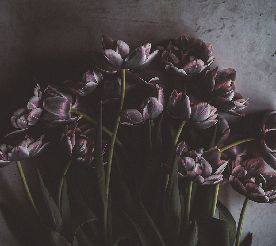 Lila blommor som pryder en nyproducerad lägenhet av Serneke Bostad.
