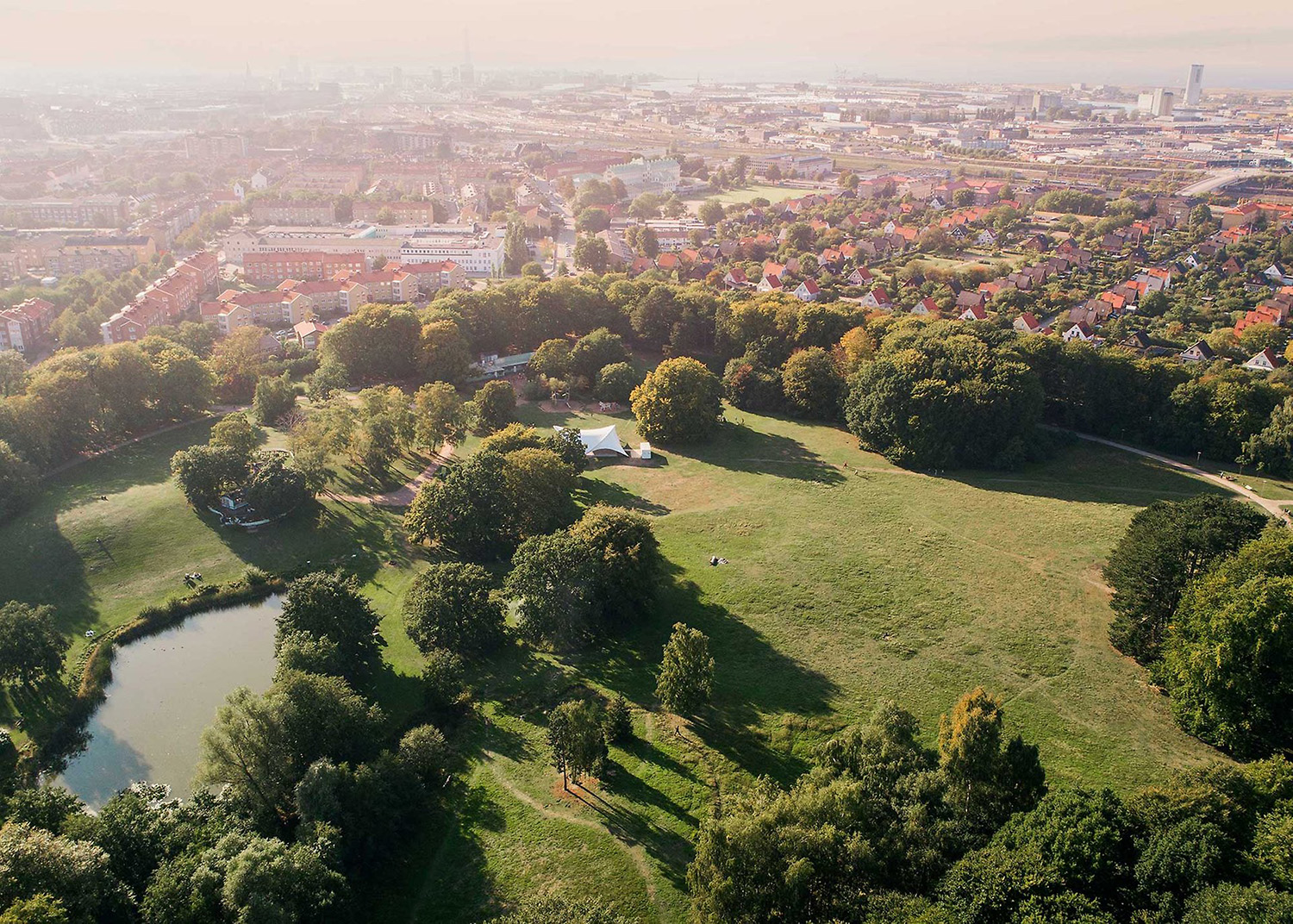 Bild av grönska i parken med frodiga träd och växter