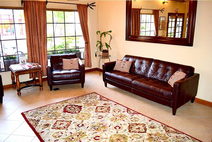 Cozy living room with elegant decor