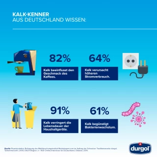 infografik putzstudie DE 2020 Kalkkenner infografik putzstudie DE 2020 Kalkkenner