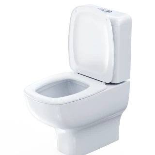 Toiletten / WC-Schüsseln Toiletten / WC-Schüsseln