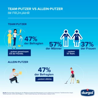 infografik putzstudie DE 2020 allein infografik putzstudie DE 2020 allein