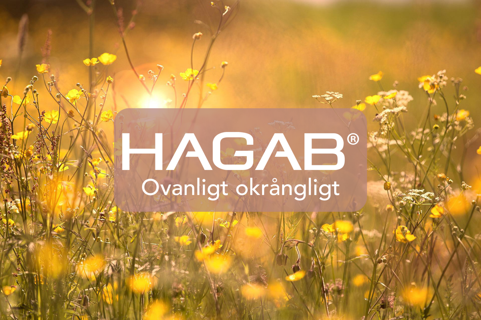 Glad sommar från Hagab