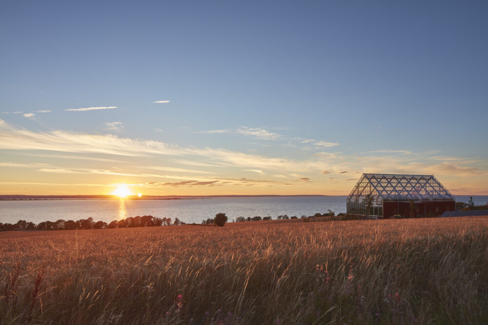 Vy över uppgrenna naturhus och vättern