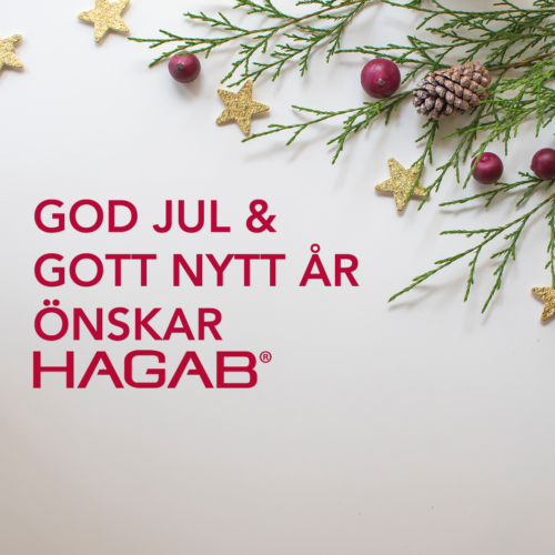 Hagab önskar god jul 2023