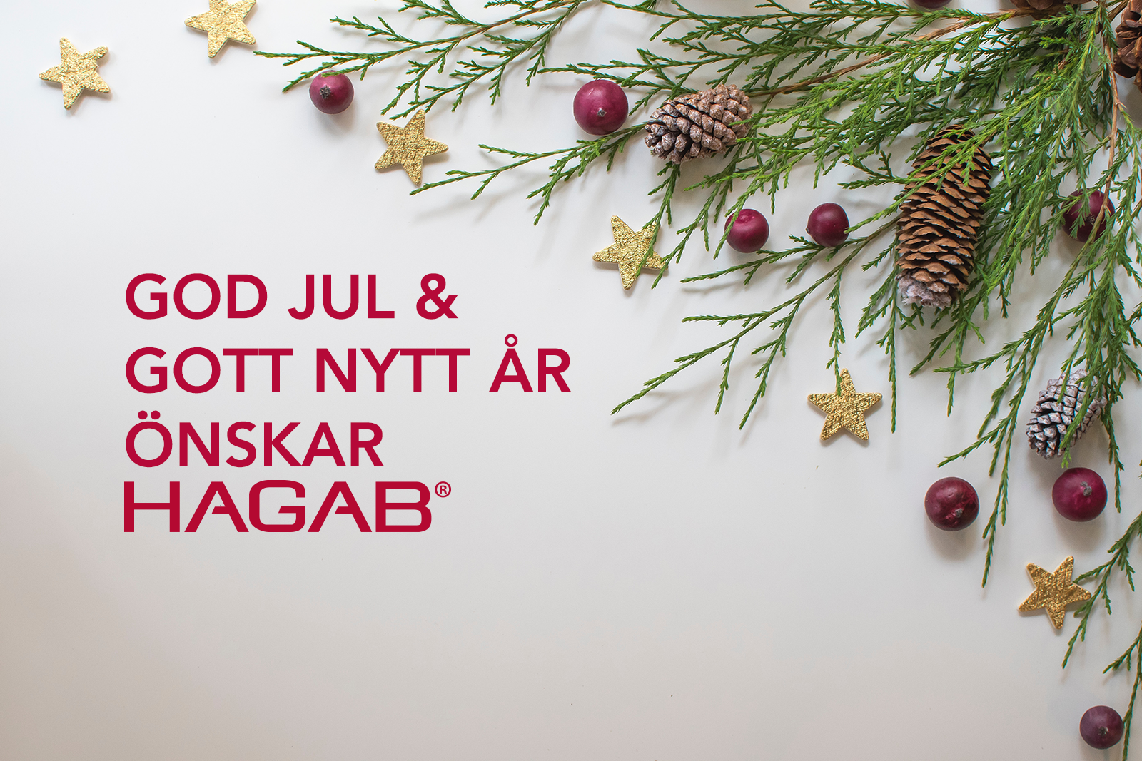 Hagab önskar god jul 2023
