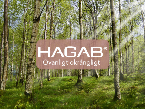 sommar 2024