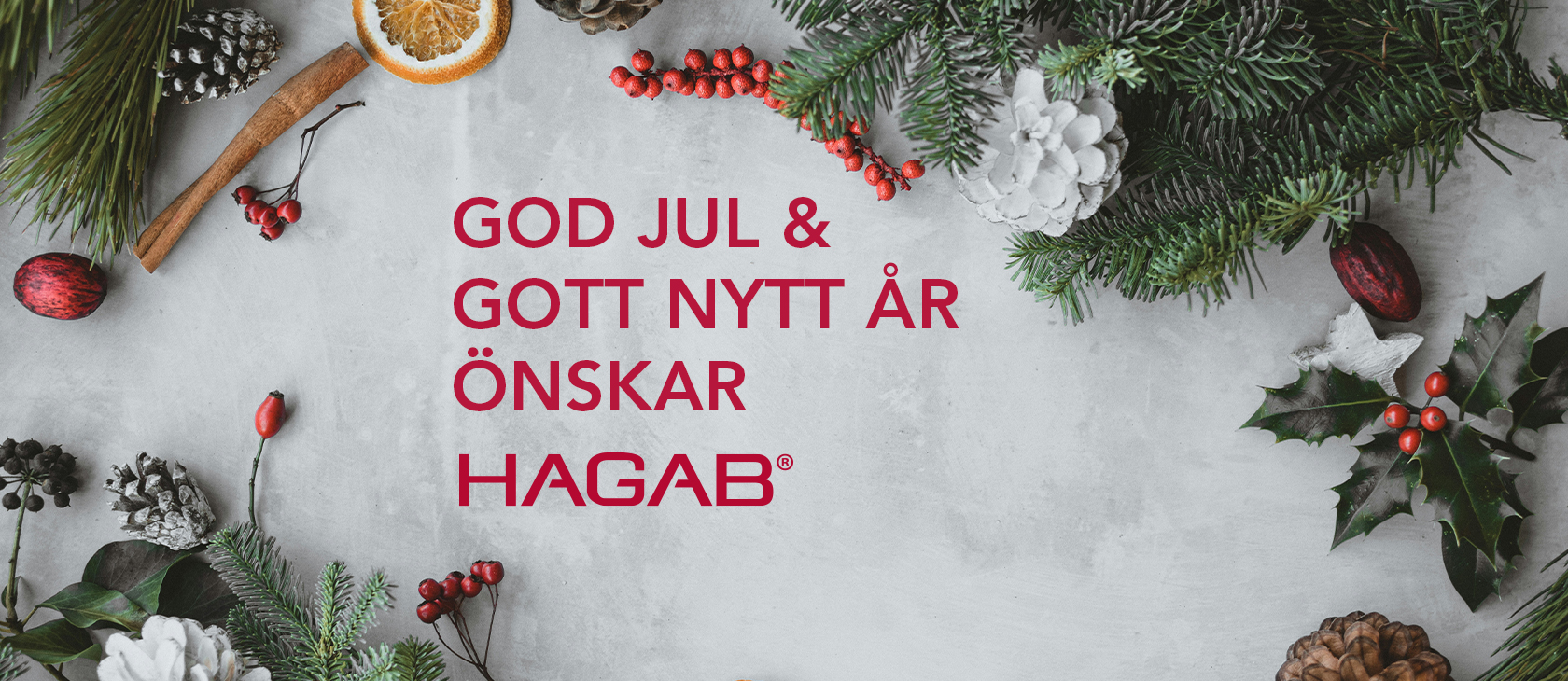God Jul 2025 önskar Hagab