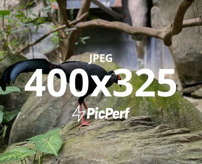 Placeholder Image Example