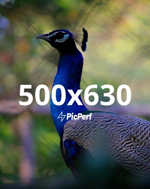 PicPerf - Placeholder Image Service