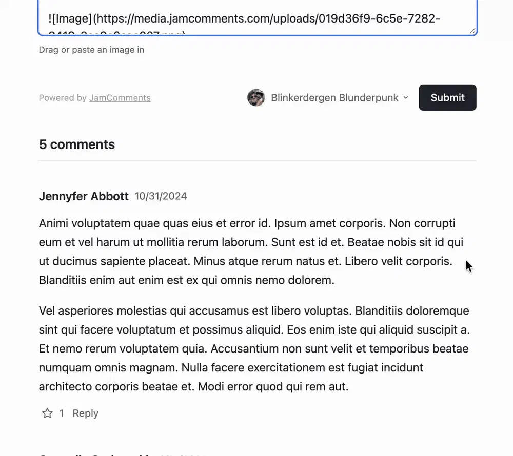 image slowly loads in after comment is submitted