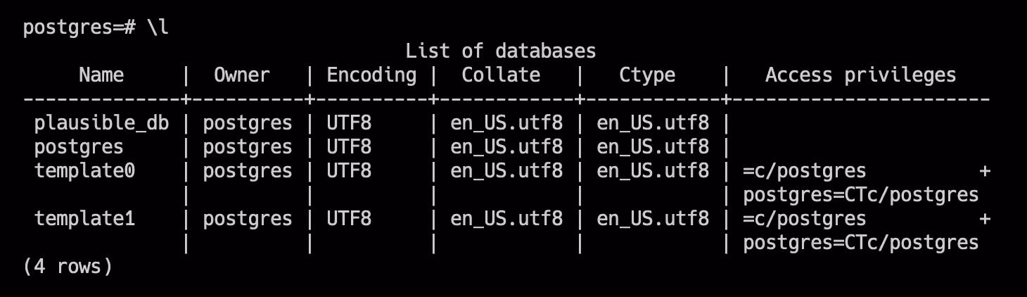 list of every database running in the Docker container