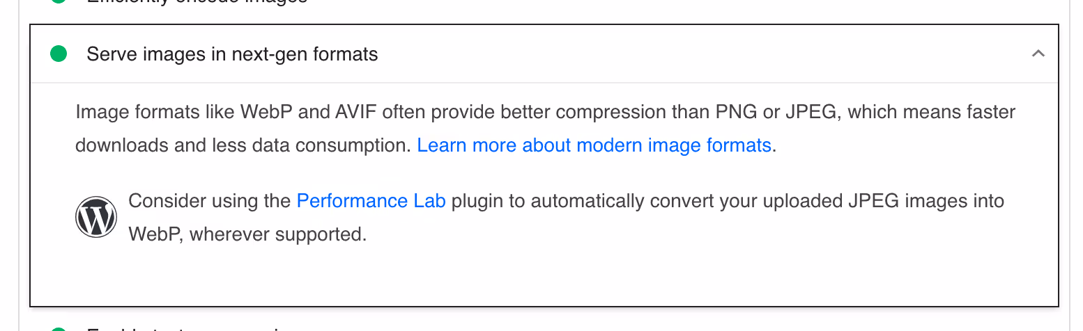 PageSpeed satisfied with modern image formats